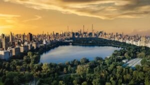nyc_seo_company