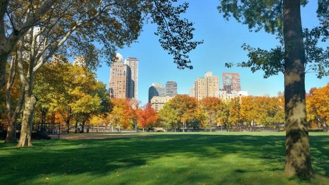 Landscaper_Marketing_Services_in_New_York_City