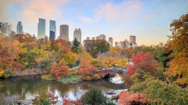 Landscaper_Marketing_Services_in_New_York_City